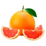 000000000009441503-KG-02