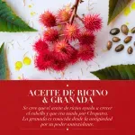 000000000070101930-UN-04