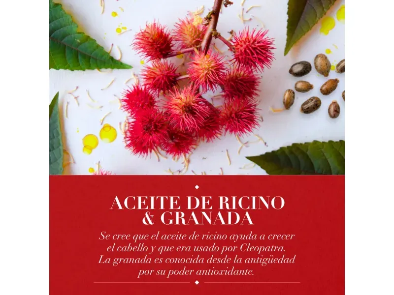 000000000070101930-UN-04