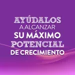 000000000075244941-UN-06