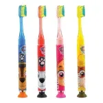 000000000075416537-UN-06