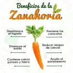 000000000070163575-UN-03