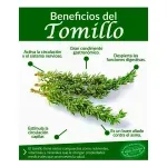 000000000070166706-UN-03