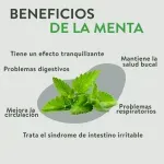 000000000070166757-UN-03