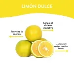 000000000070135190-UN-03