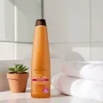 000000000075335595-UN-03