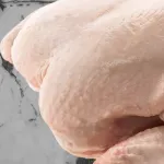 000000000070011234-KG-03