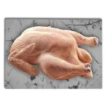 000000000075087378-UN-04