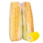 000000000070404368-KG-01