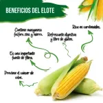 000000000070404368-KG-03