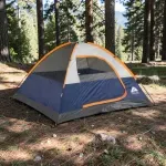 000000000070019818-UN-04