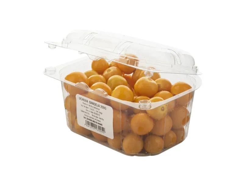 000000000070219261-UN-02