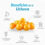 000000000070219261-UN-03