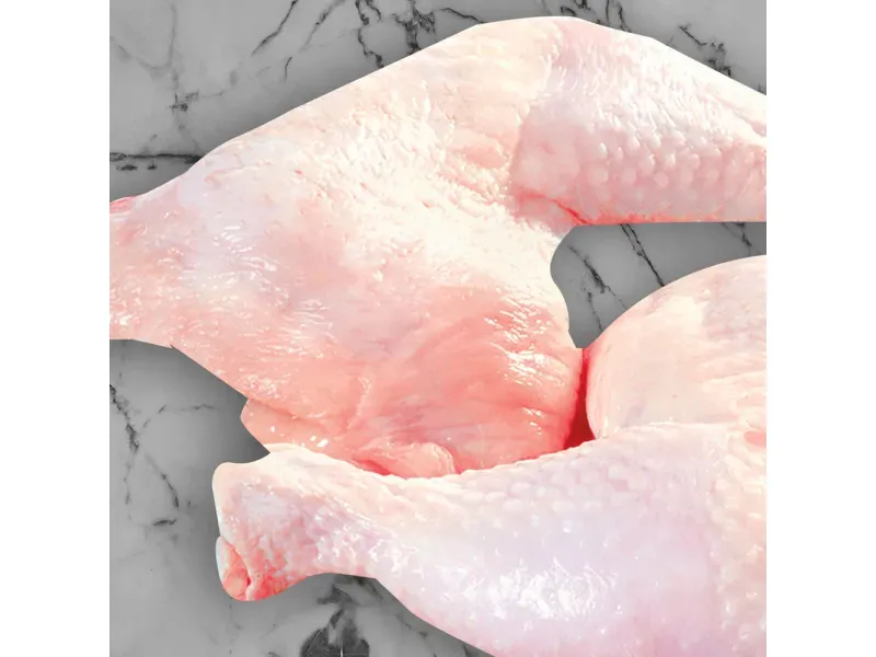 000000000070463100-KG-03