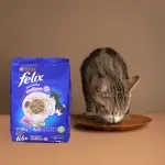 000000000075462713-UN-06