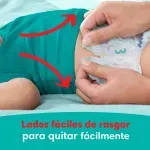 000000000070117355-UN-04