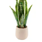 000000000075269457-UN-02