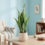 000000000075269457-UN-03