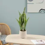 000000000075269457-UN-04