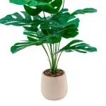 000000000075269455-UN-02