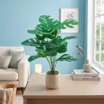 000000000075269455-UN-03