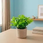 000000000075423136-UN-06