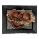 000000000075423629-UN-06