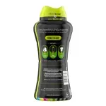 000000000075244770-UN-08