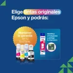 000000000070135897-UN-08