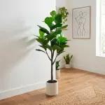 000000000075370880-UN-03