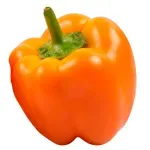 000000000070233350-UN-02