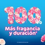 000000000070101785-UN-02