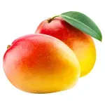 000000000070206326-KG-01