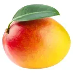 000000000070206326-KG-04