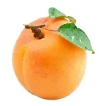 000000000070086041-KG-02