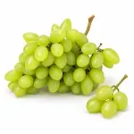000000000075410144-KG-01