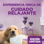 000000000075294852-UN-04