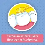000000000075002536-UN-04
