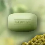 000000000070434572-UN-02