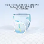 000000000075358387-UN-08