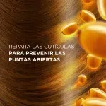 000000000070516641-UN-04