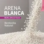 000000000075140470-UN-08