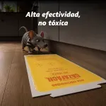 000000000070270232-UN-06