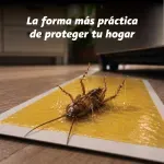 000000000070270232-UN-08