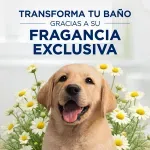000000000075522332-UN-02