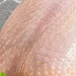 000000000070011346-KG-02