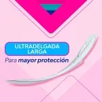 000000000070519228-UN-03