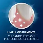 000000000000262952-UN-05