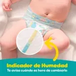 000000000075341226-UN-08