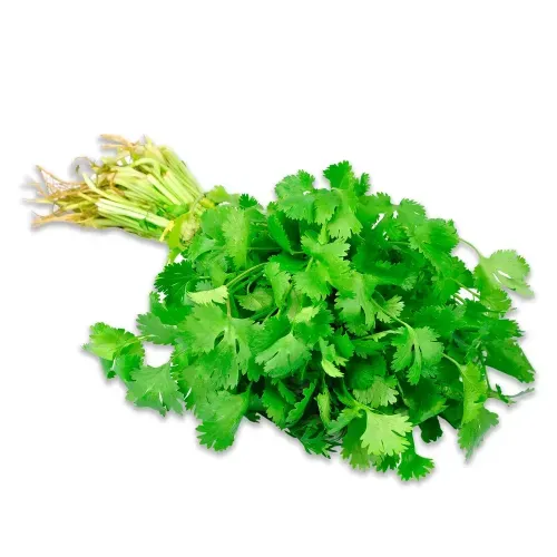 Culantro Empacado Bolsa